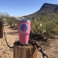 Saguaro Heart Vinyl Sticker Lifestyle