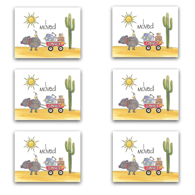 NS1303 I moved funny southwest note card set