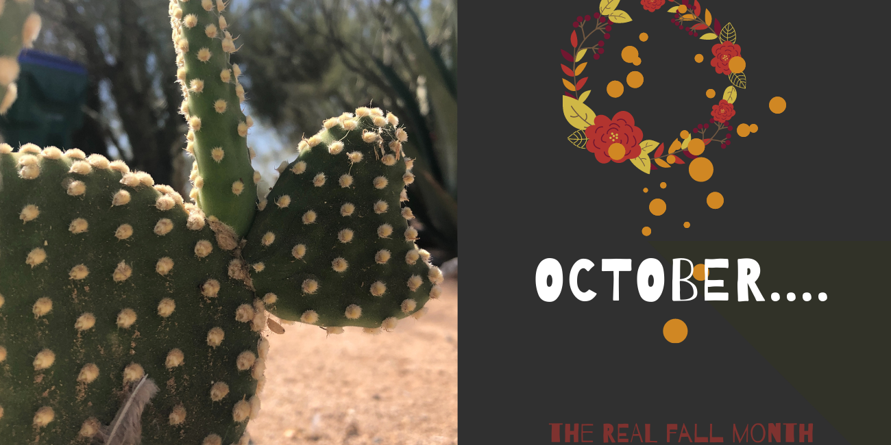 Copy of October…. October the real fall month