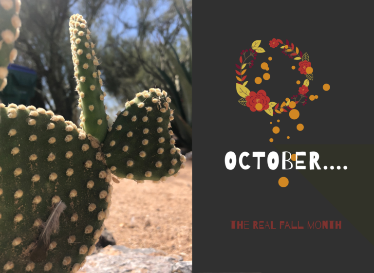 Copy of October…. October the real fall month