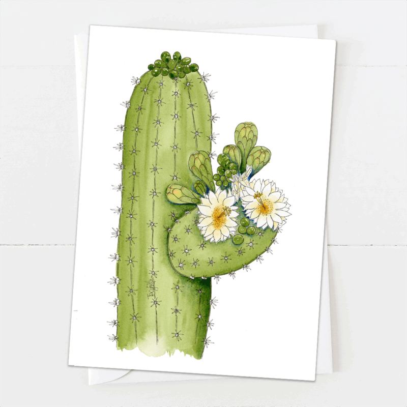 Saguaro Cactus Flowers + Buds | Blank Card