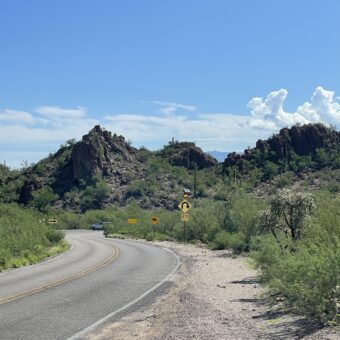 summer in the desert