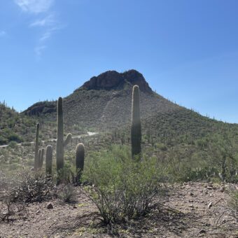 summer in the desert