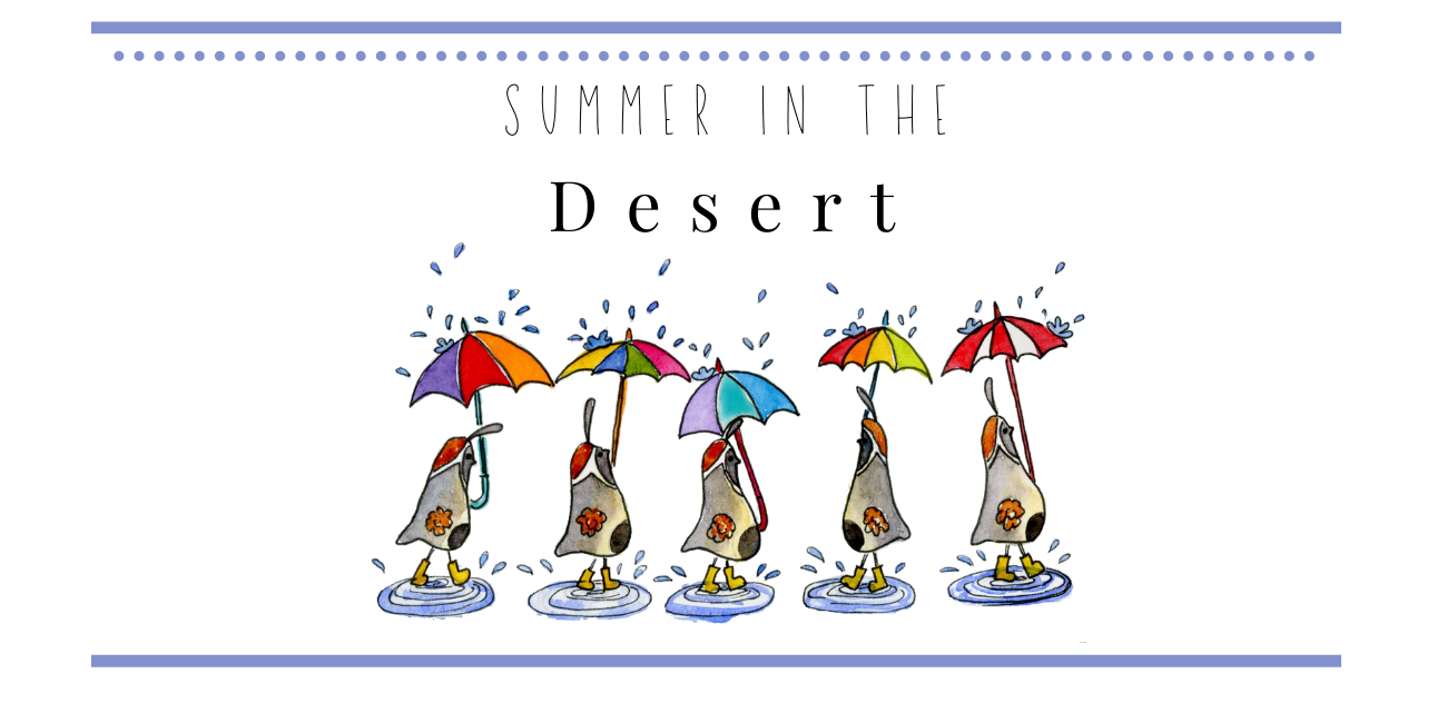 summer in the desert summer in the desert