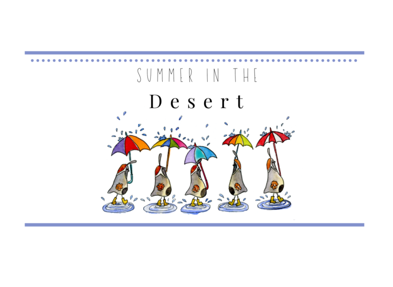 summer in the desert summer in the desert