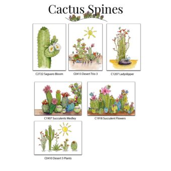 cactus spines card box set