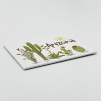 LM1010 Desert 5 Plants Hard magnet