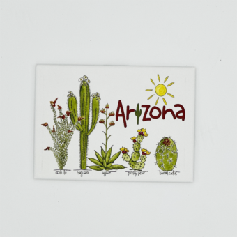 LM1010 Desert 5 Plants Hard Magnet