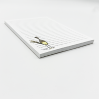 NP1007 Road Runner Fun Notepad