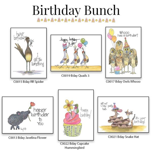 Birthday Bundle Volume 2 | Box Card Set | Zinnia Sky Studio