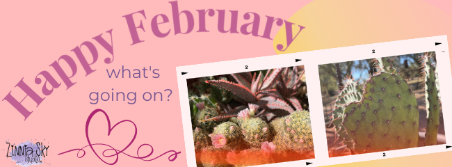 February What's Going On?