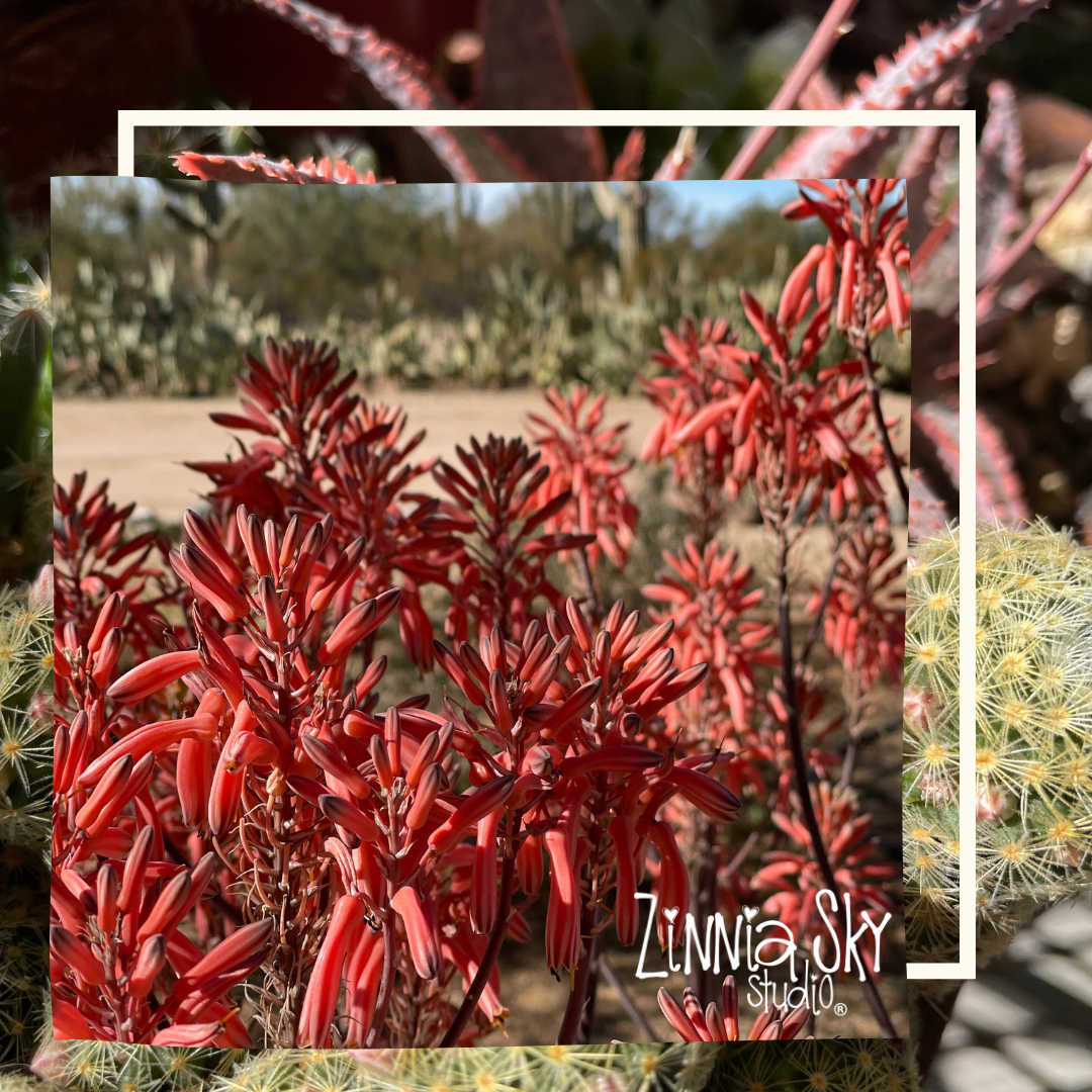 February what's going on