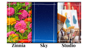 Zinnia Sky Studio