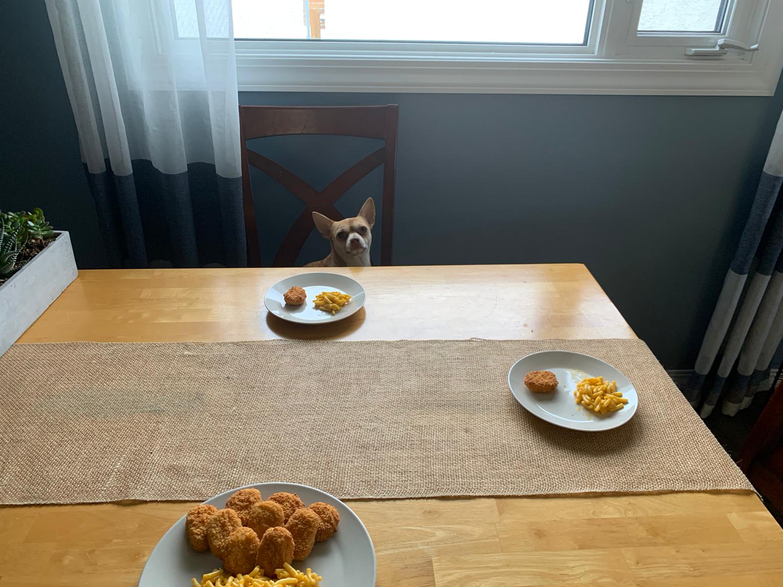 Canadian thanksgiving