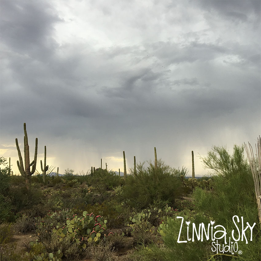 monsoon rain in the desert