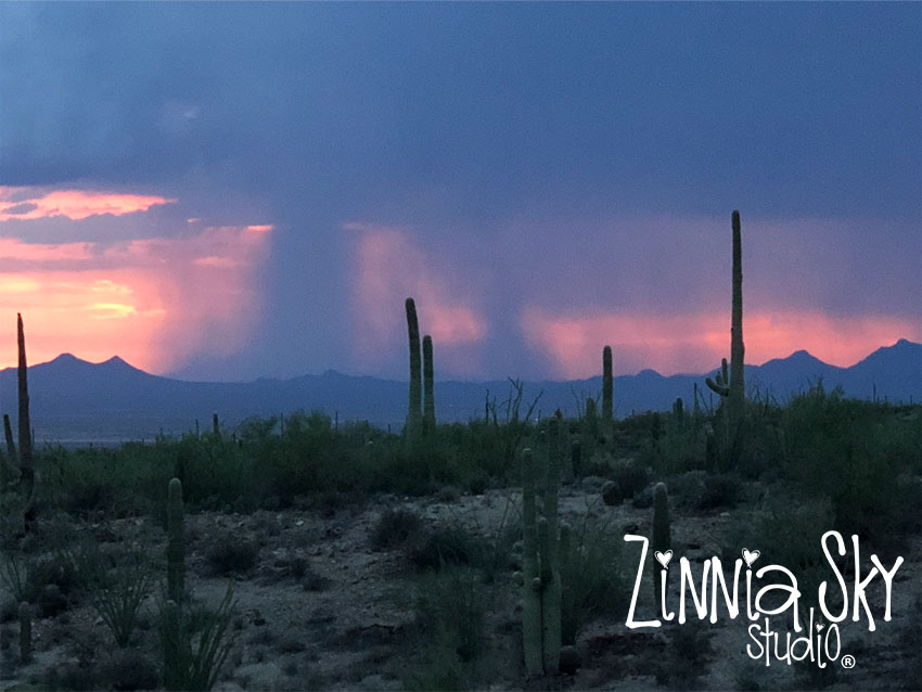 monsoon in Avra Valley