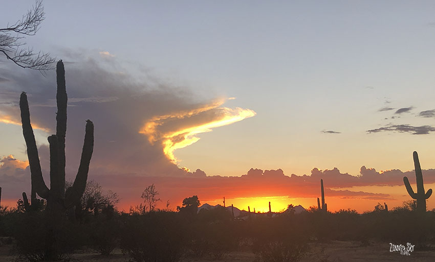 arizona sunset orange